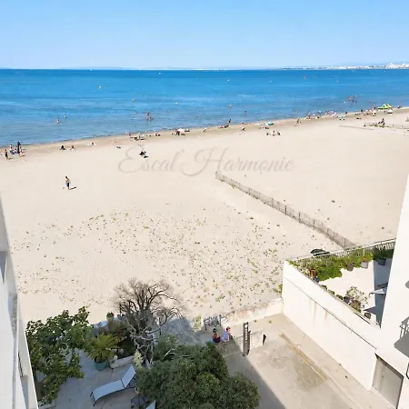 Au Dessus Des Vagues
